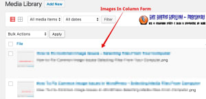 How To Fix Common Image Issues In WordPress Images In Column Form