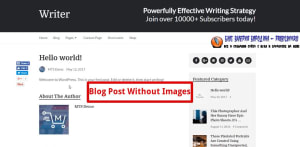 How To Add Images To A Blog Post blog post without images