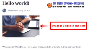 How to fix common image issues in WordPress adding images to a blog post 7