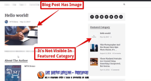How to fix common image issues in WordPress Image not visible in blogroll 1