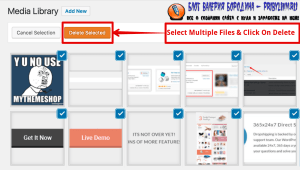 How To Fix Common Image Issues In WordPress delete multiple files