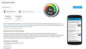 PageSpeed Insights