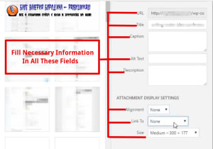 How to fix common image issues in WordPress Adding Images To blog post 5