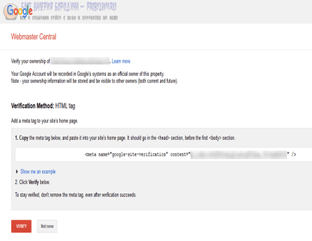 google site verification page