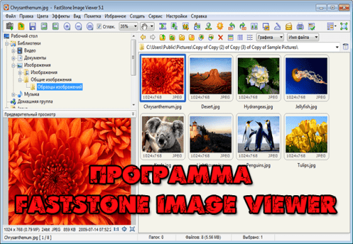 FastStone Image Viewer