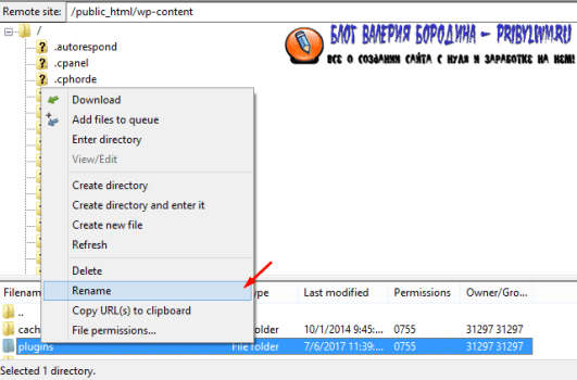 Rename Plugin Folder