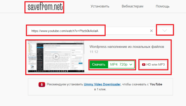 savefrom.net