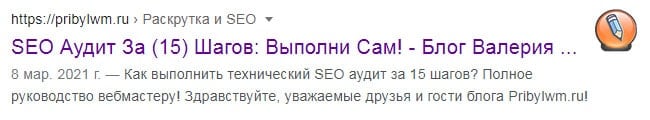 SEO audit