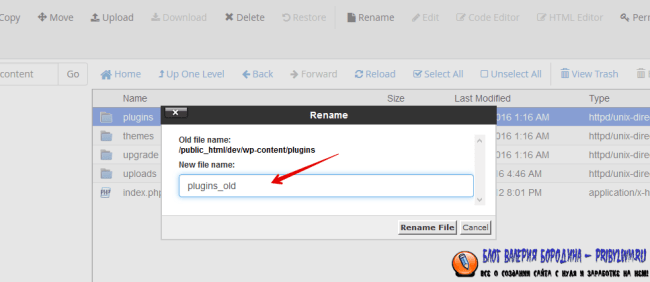 Rename Plugins Folder_wp-content_plugins