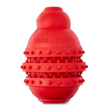 Kong fire hydrant dog toy discount