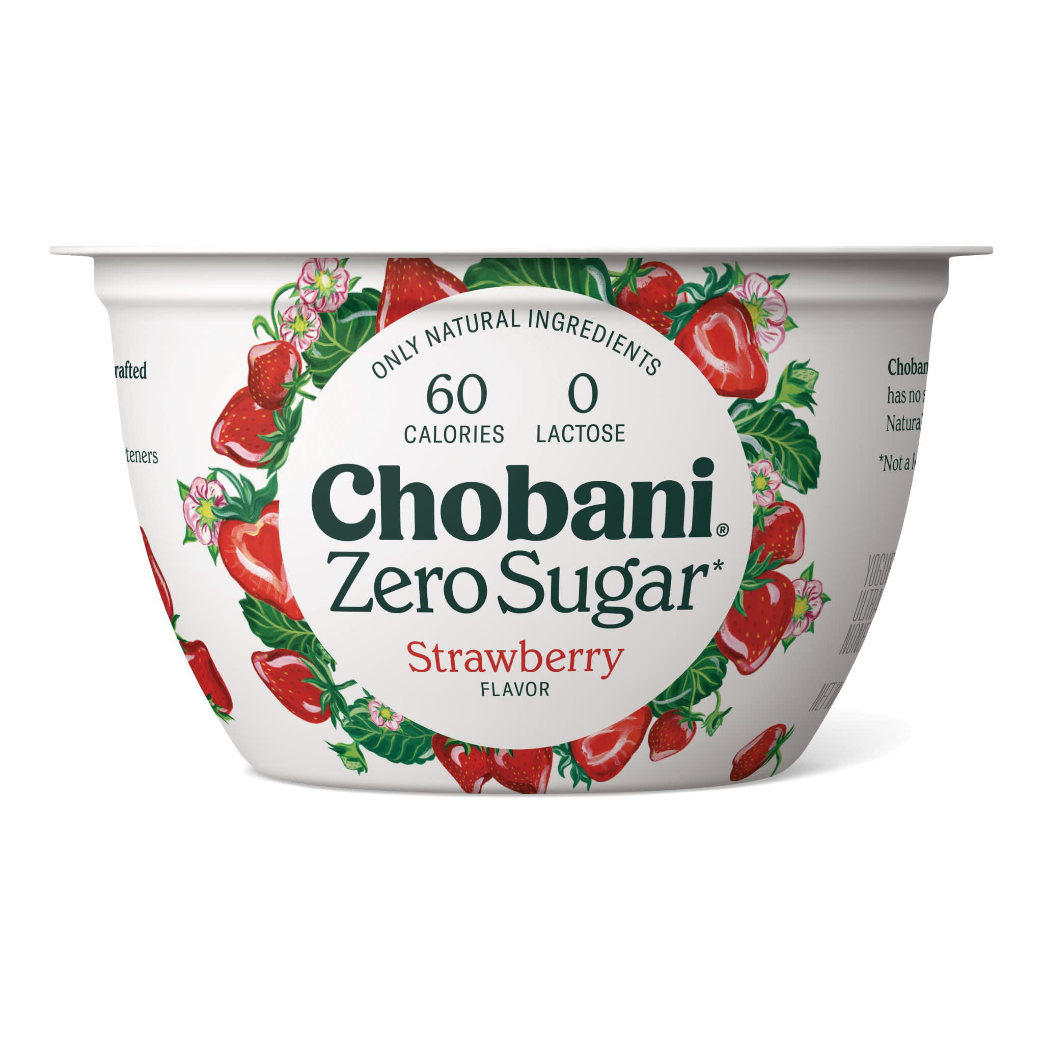 Sugar free greek hot sale yogurt