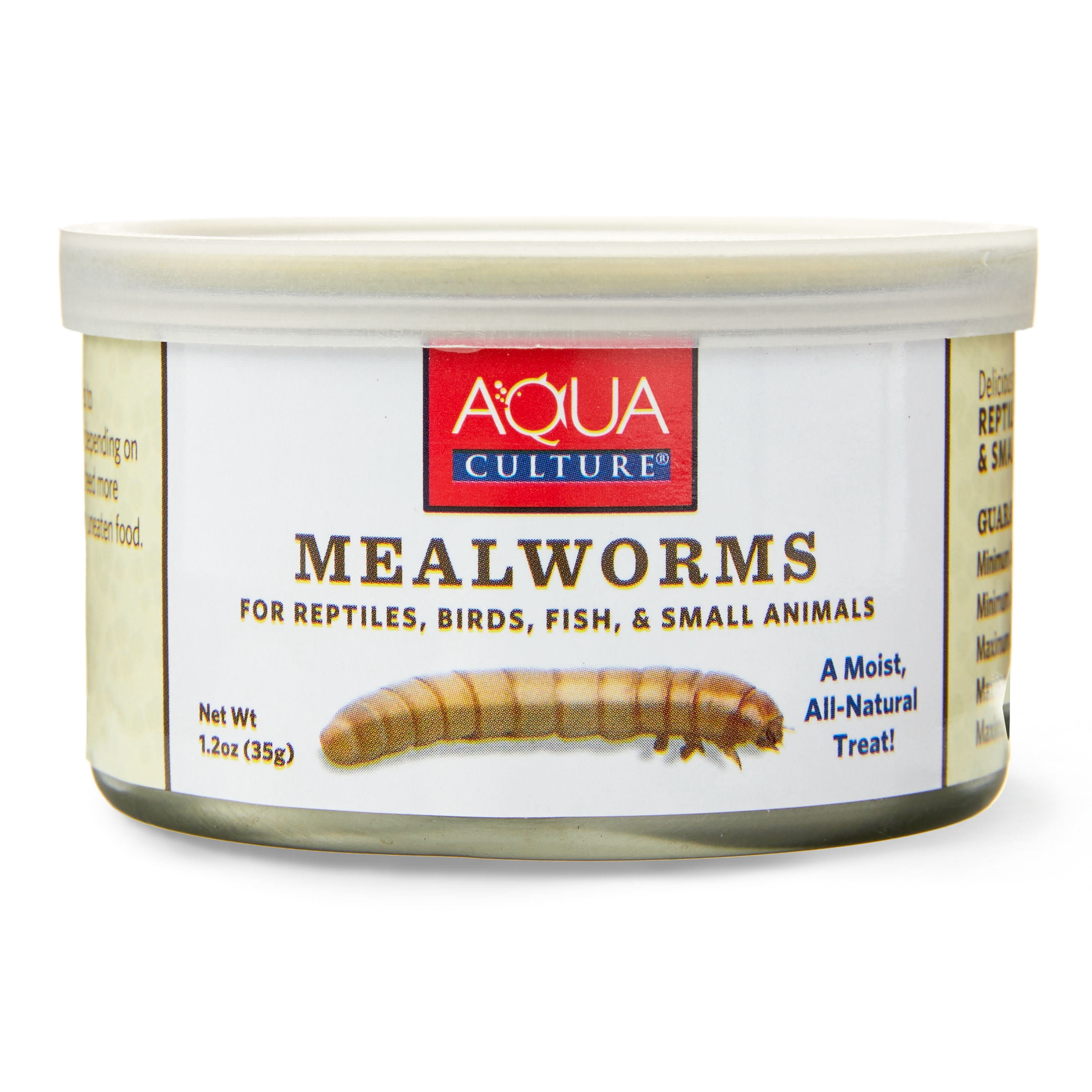 Butter Worms for fish, reptiles and fishing