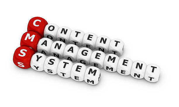 CMS Web Development: Everything thriving content management sites have