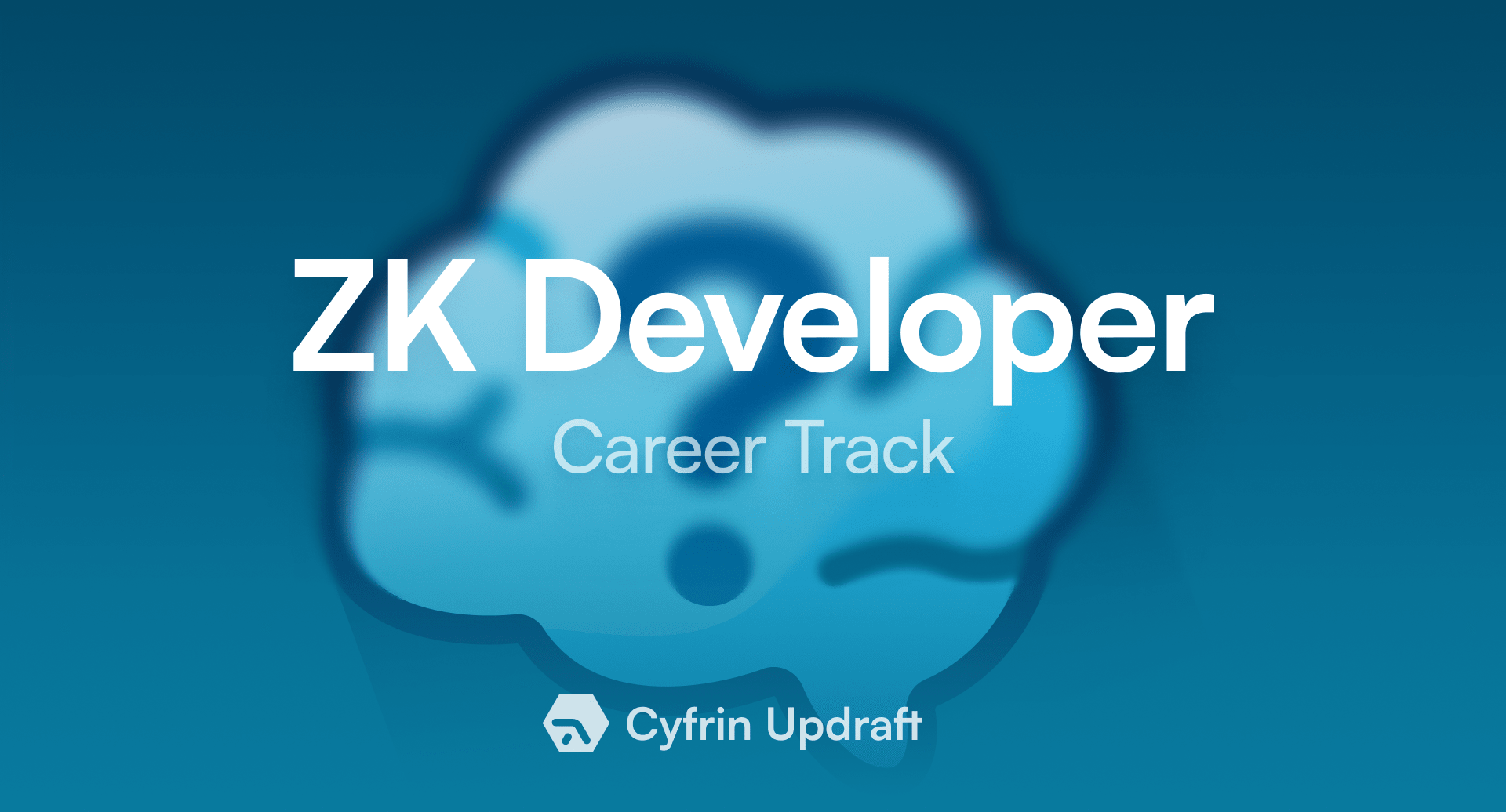 Zero Knowledge (ZK) Developer