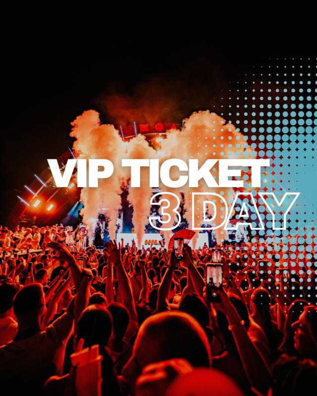 3-Day VIP Ticket