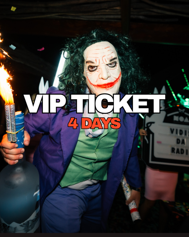 4-Day Festival VIP Pass