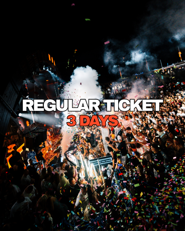 3-Day Festival Pass