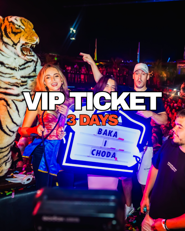 3-Day Festival VIP Pass