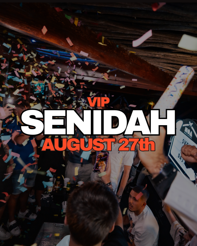 1-day VIP Festival Ticket (27.8.2026)