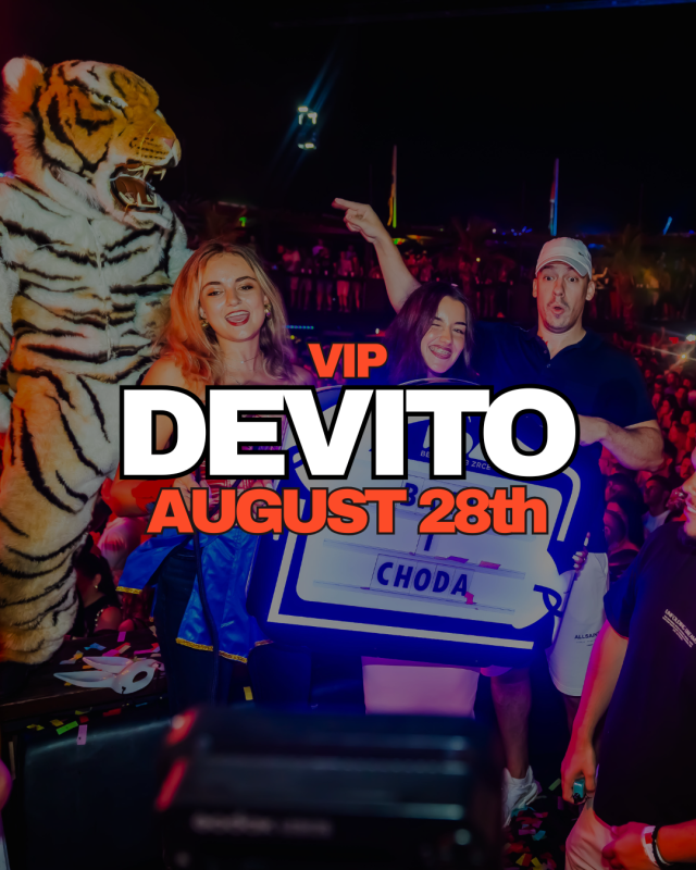1-day VIP Festival Ticket (28.8.2026)