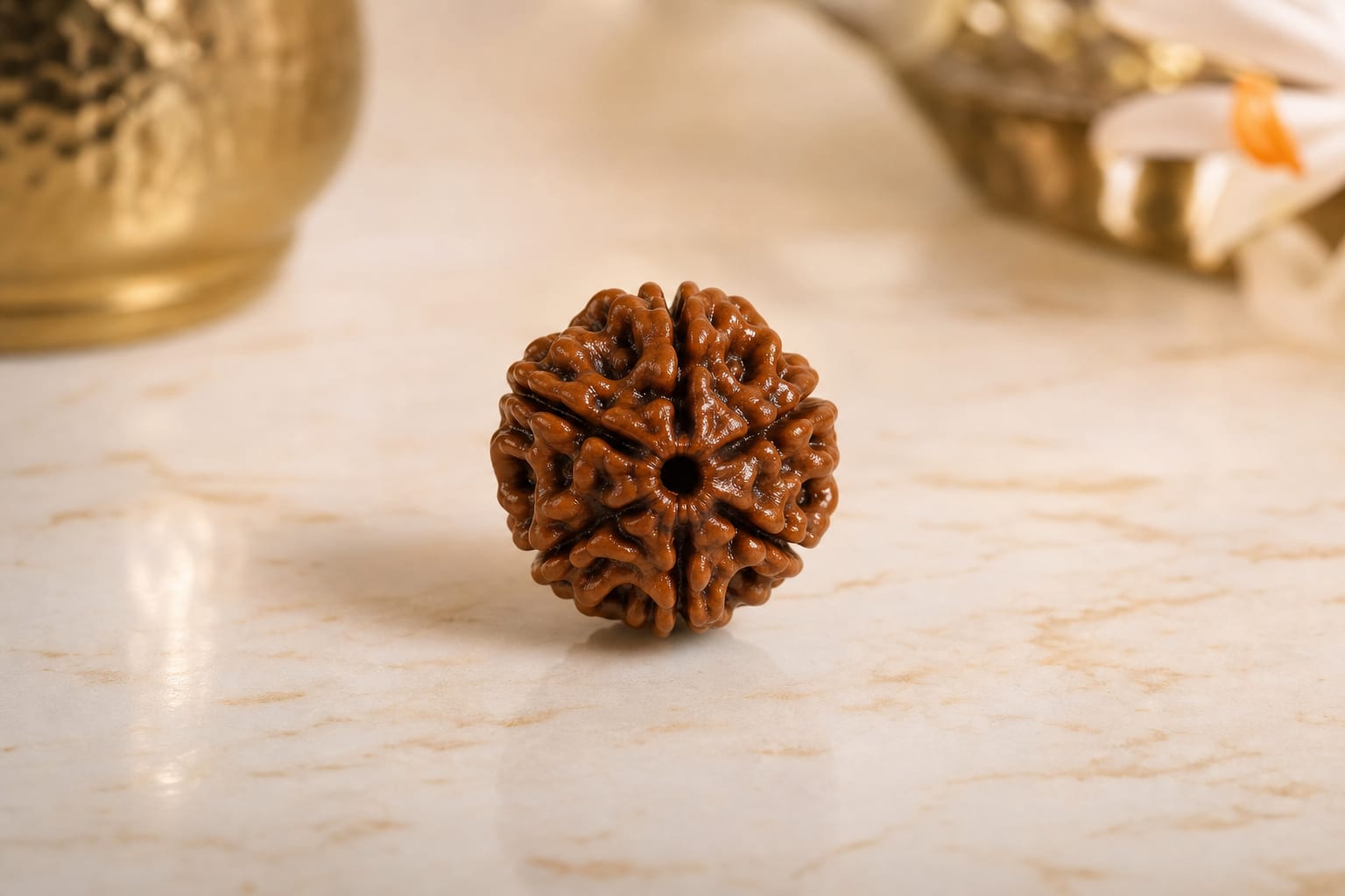 7 Mukhi Rudraksha bead for prosperity