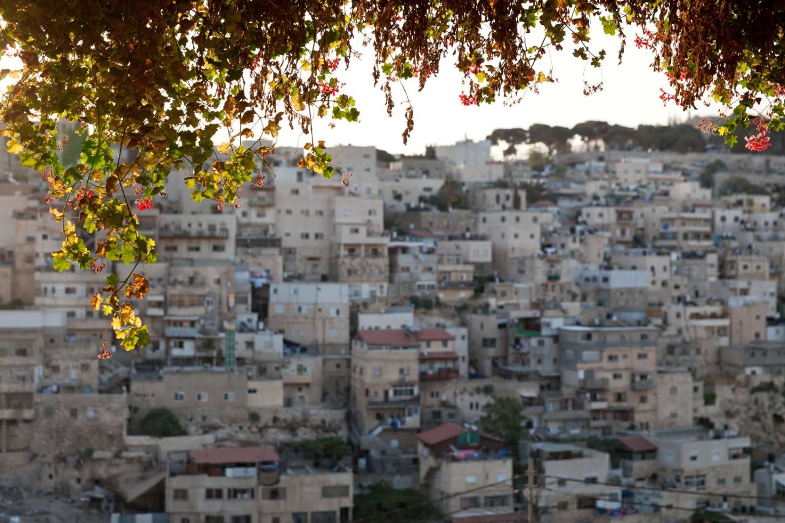 ההרשמה הסתיימה!!!! 
סיור בסילואן/ירושלים הקדומה