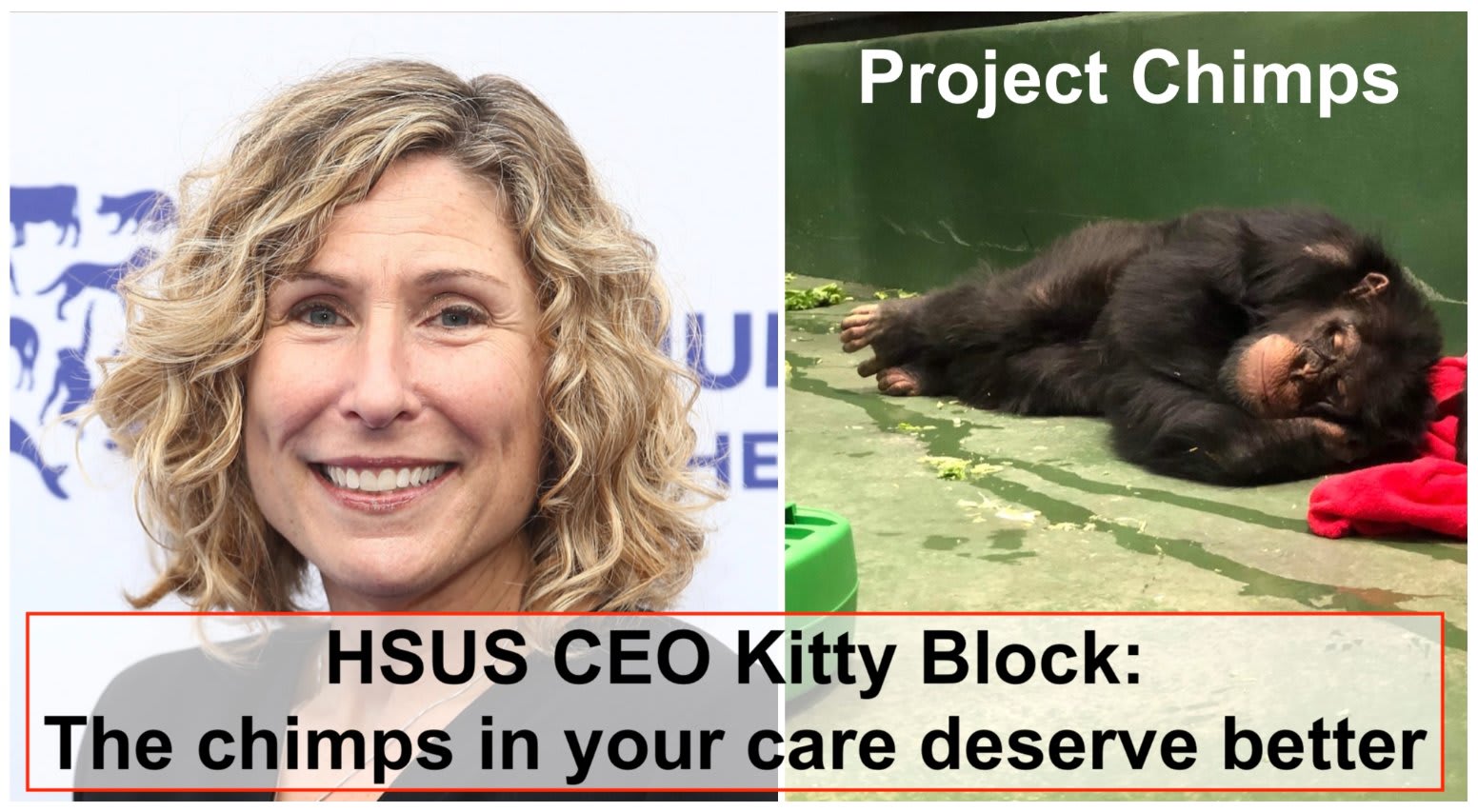 HSUS: Create Outdoor Habitat Space at Project Chimps