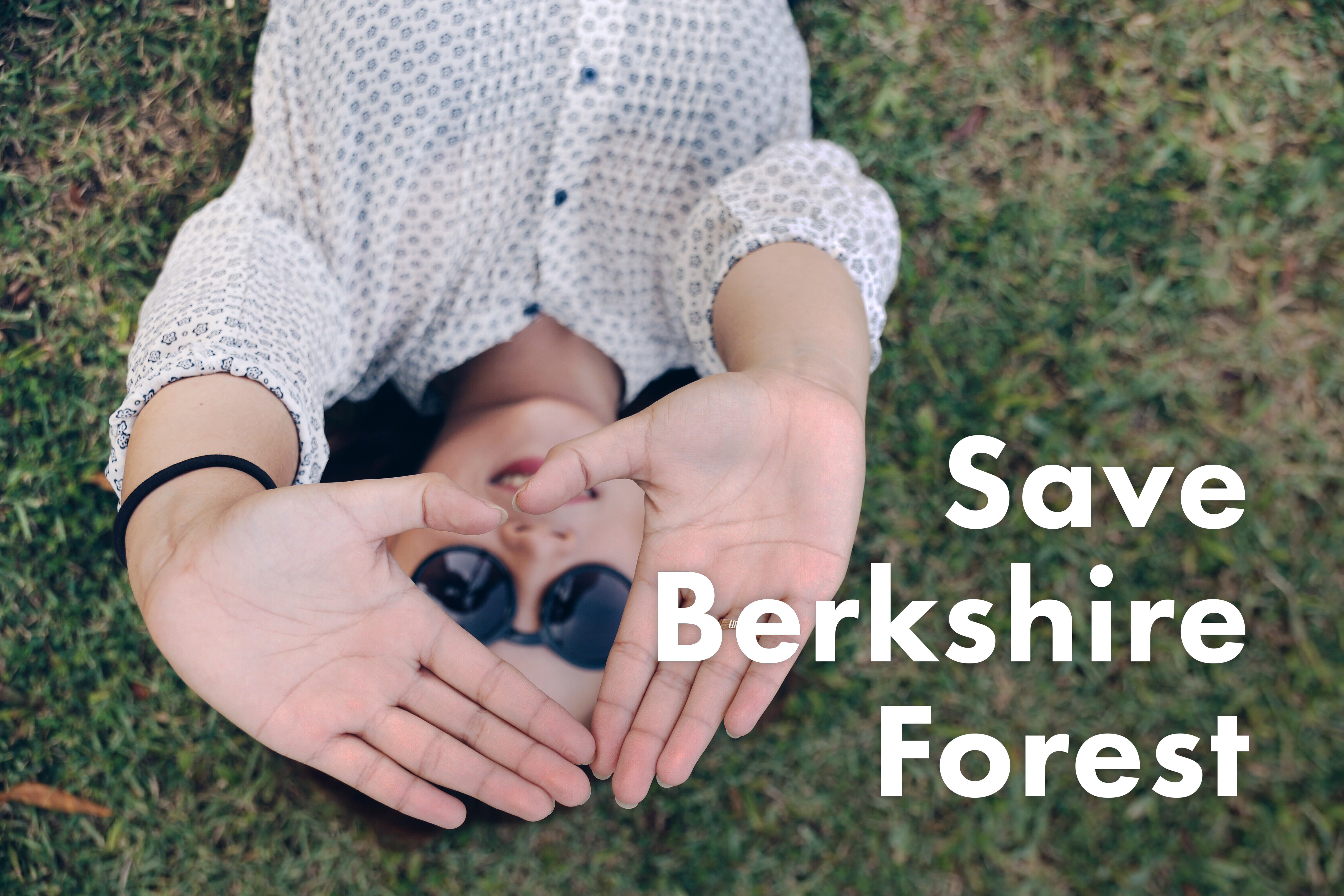Go Green  Massachusetts chapter:
Donate to Save the Berkshire Forest!
