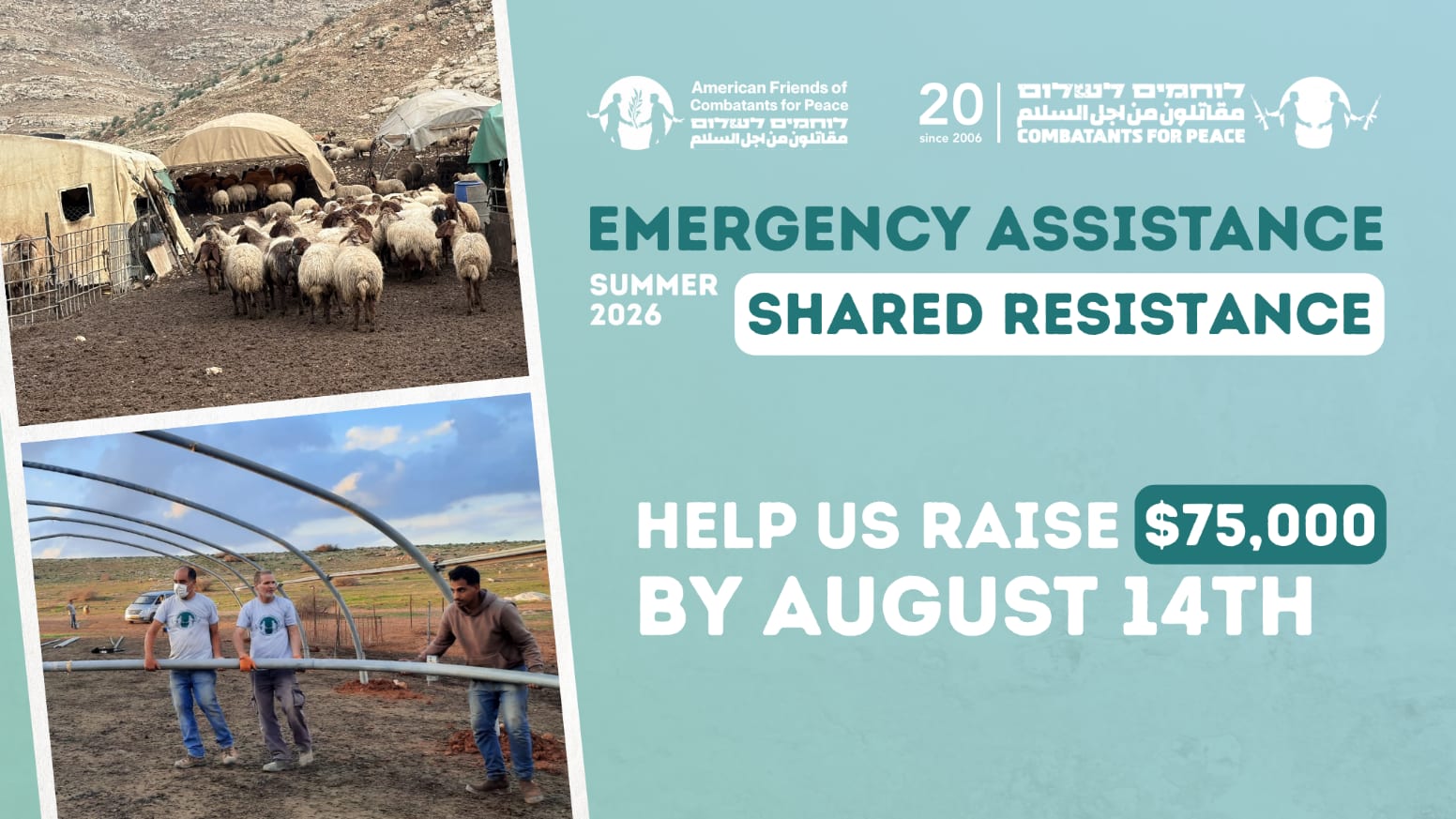 Emergency Assistance, Shared Resistance