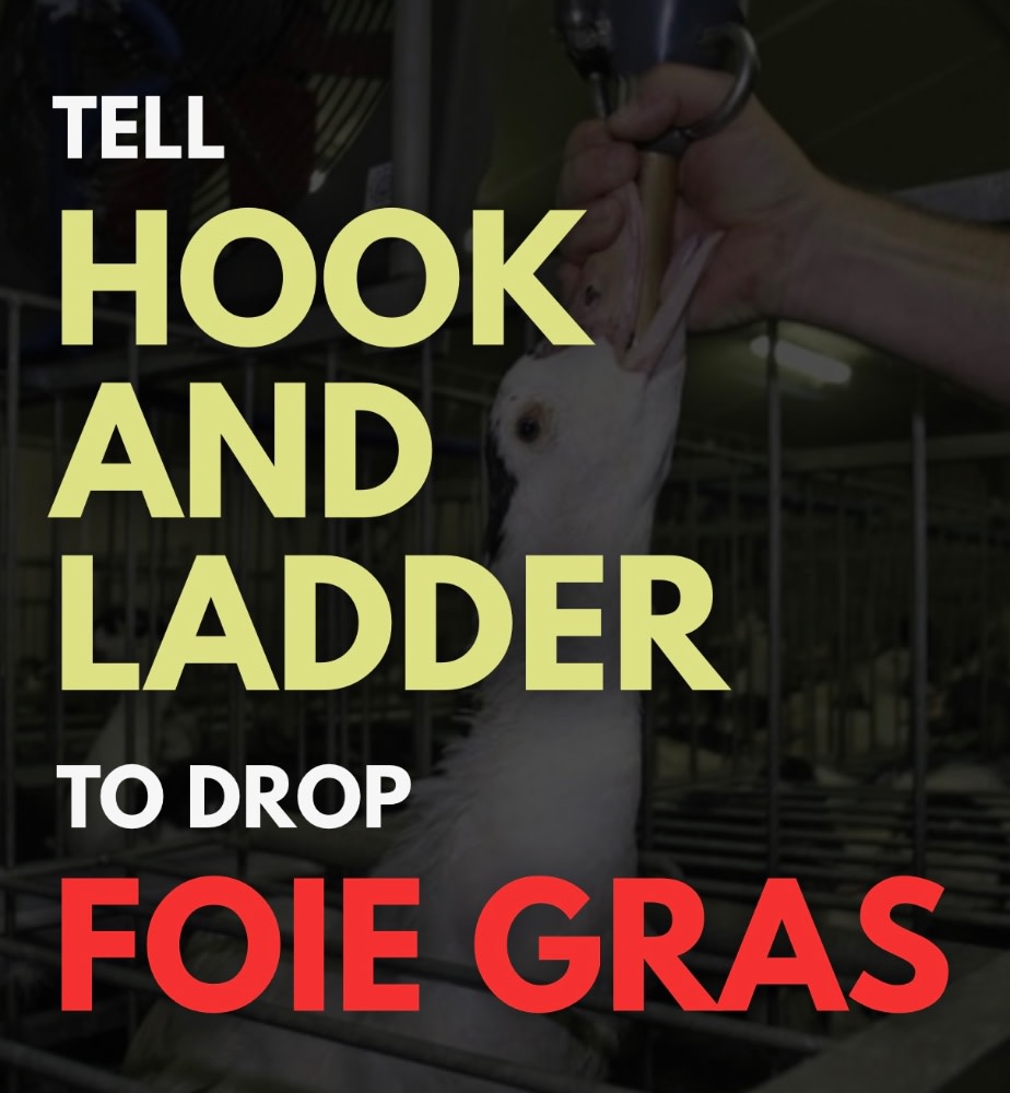 Tell Hook & Ladder to Drop Foie Gras