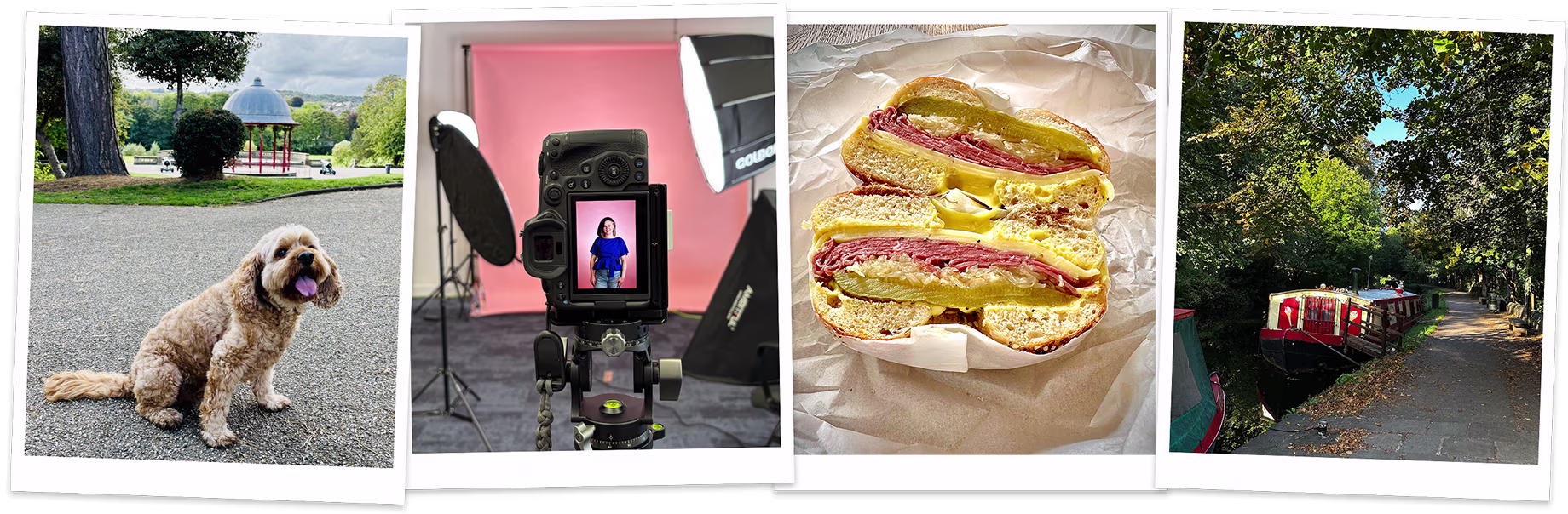 Collage of life in and around Saltaire featuring a dog in Roberts Park, a True9 team portrait shoot, a deli sandwich, and canal boats on the Leeds and Liverpool Canal