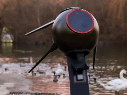 В столице Крыма установлены автоматические аппараты по продаже корма для пернатых