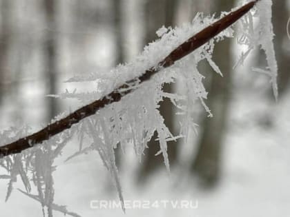 Снег и гололёд ожидаются в Крыму в ближайшие дни