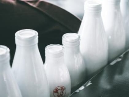 В Крыму значительно увеличились объёмы производства молочной продукции