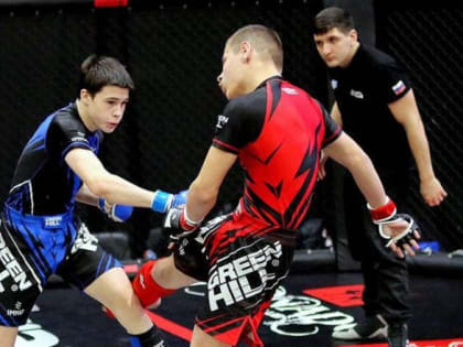 В поле зрения