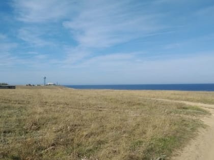 В Крыму 8 марта ожидается до +17 градусов