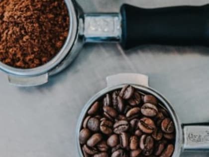 Кофе, какао и пшеница: в Крыму подвели итоги саммита «Россия − Африка»