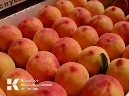 Крым получил из федерального бюджета 700 млн рублей на поддержку садоводства