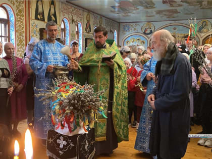 Вербное воскресенье в храме Рождества Пресвятой Богородицы (фото)