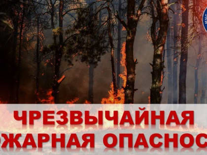 МЧС: Штормовое предупреждение об опасных гидрометеорологических явлениях по Республике Крым на 6-10 августа 2023 года