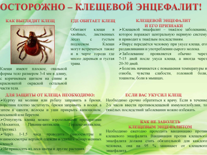 Клещи продолжают угрожать жителям России