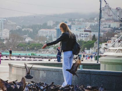 Какой будет погода в Крыму 15 января