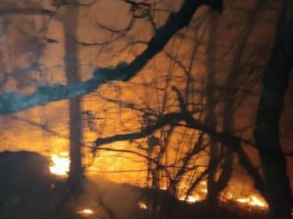 В Крыму объявлено штормовое из-за грядущей жары 