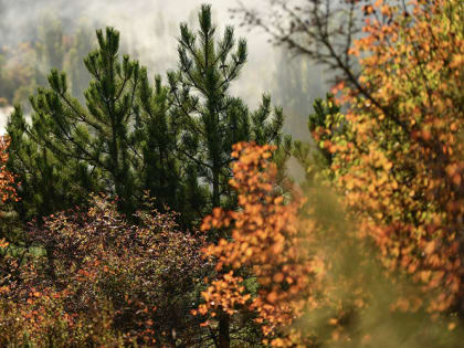 Осенние изменения погоды в Крыму