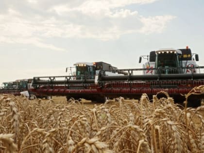 Крымские аграрии собрали первый миллион тонн зерна