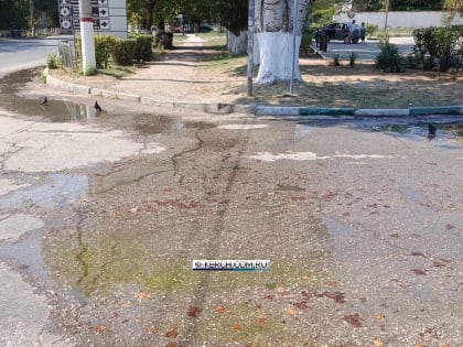 Керчане: по улице Генерала Петрова льётся вода и никому нет дела