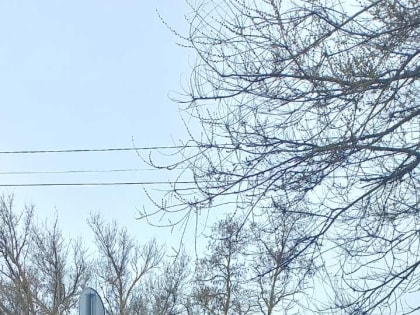 День чистоты