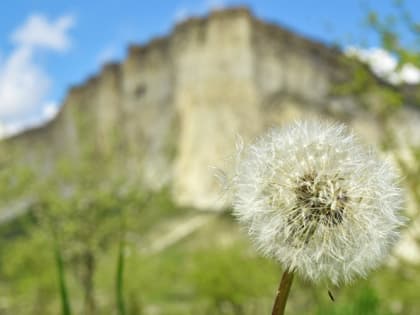 У Белой скалы устроят музыкальный пикник с песнями о любви