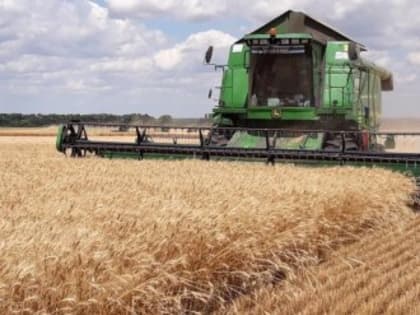 В Белогорском районе убрали урожай зерновых с площади почти 17 га