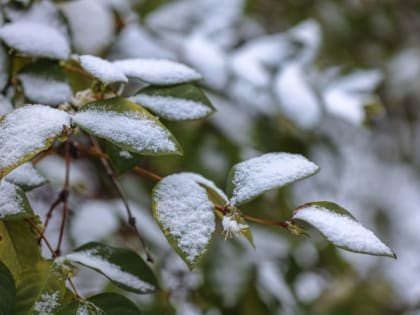 Погода в Крыму 10 февраля: ясно и морозно